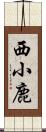 西小鹿 Scroll