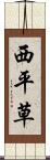 西平草 Scroll