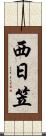 西日笠 Scroll