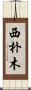 西朴木 Scroll