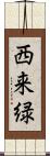 西来緑 Scroll