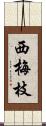 西梅枝 Scroll