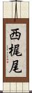 西梶尾 Scroll