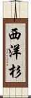 西洋杉 Scroll