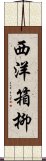 西洋箱柳 Scroll