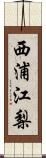 西浦江梨 Scroll