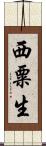 西粟生 Scroll