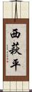 西萩平 Scroll