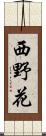 西野花 Scroll