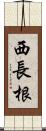 西長根 Scroll