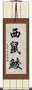 西鼠鮫 Scroll