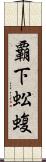 覇下 Scroll