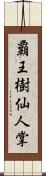 覇王樹 Scroll