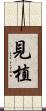見植 Scroll