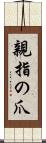 親指の爪 Scroll