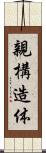 親構造体 Scroll