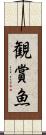観賞魚 Scroll