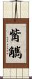 觜觽 Scroll