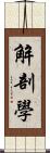 解剖學 Scroll
