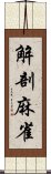 解剖麻雀 Scroll