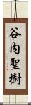 谷内聖樹 Scroll