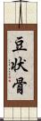 豆状骨 Scroll