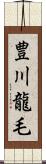 豊川龍毛 Scroll