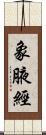 象腋經 Scroll
