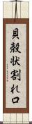 貝殻状割れ口 Scroll