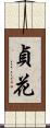貞花 Scroll