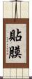 貼膜 Scroll