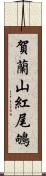 賀蘭山紅尾鴝 Scroll