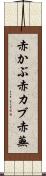 赤かぶ Scroll