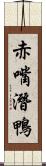 赤嘴潛鴨 Scroll