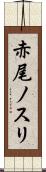 赤尾ノスリ Scroll