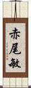 赤尾敏 Scroll