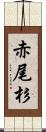 赤尾杉 Scroll