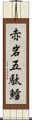 赤岩五駄鱈 Scroll