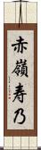 赤嶺寿乃 Scroll