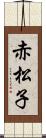 赤松子 Scroll