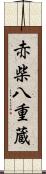 赤柴八重蔵 Scroll