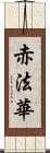 赤法華 Scroll