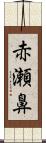 赤瀬鼻 Scroll
