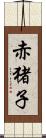 赤猪子 Scroll