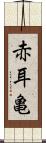 赤耳亀 Scroll