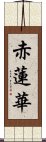 赤蓮華 Scroll