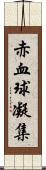 赤血球凝集 Scroll