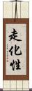 走化性 Scroll
