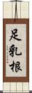足乳根 Scroll