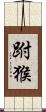 跗猴 Scroll